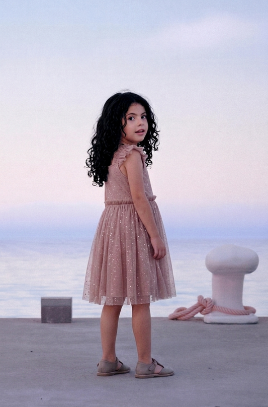 Dusty Rose and Silver Foil Shimmer Tulle Party Dress