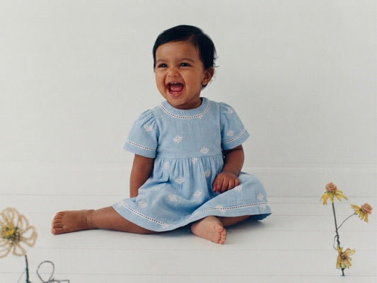 Sky blue Striped Embroidered Dress